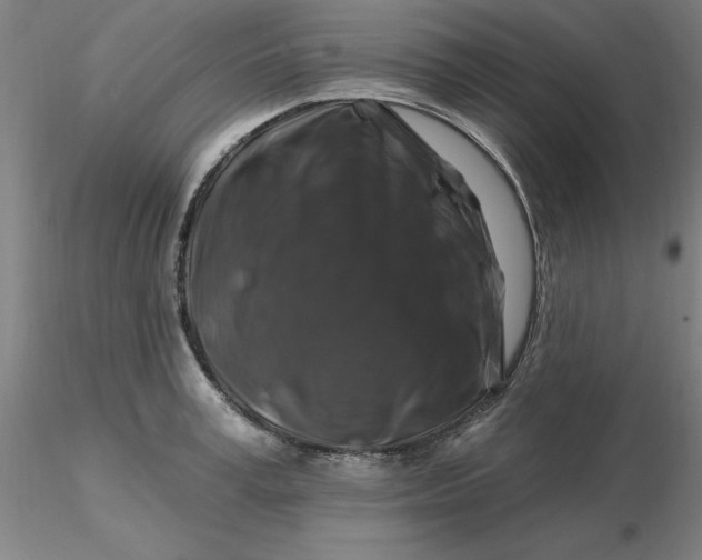 X0000116280995200912211815