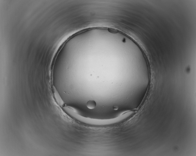 X0000116280996200912211815