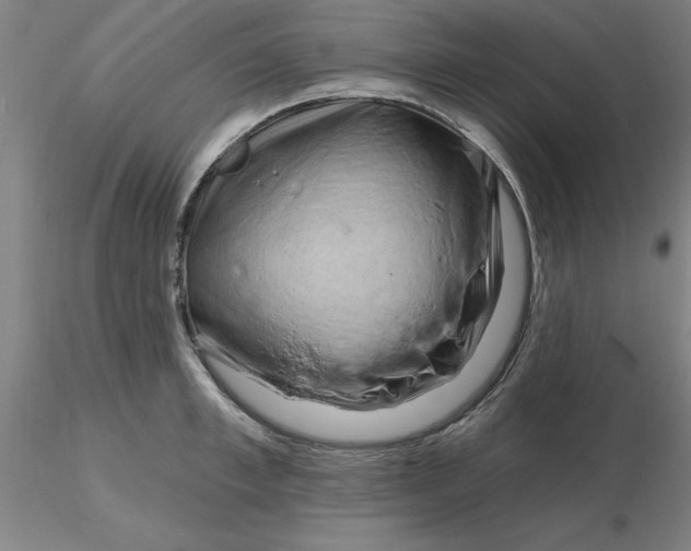 X0000116280997200912211815