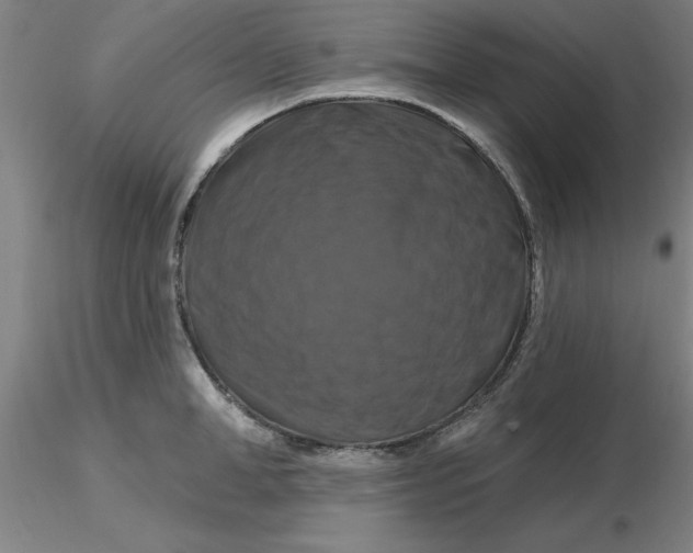 X0000116280998200912211815