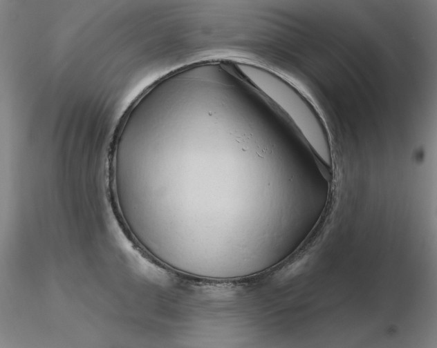 X0000116280999200912211815