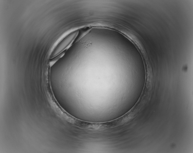 X0000116281000200912211815