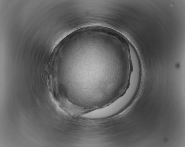 X0000116281001200912211815