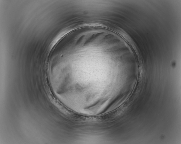 X0000116281002200912211815