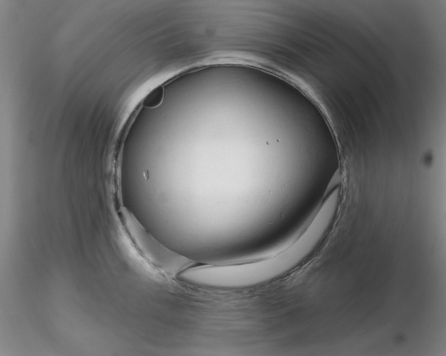 X0000116281003200912211815