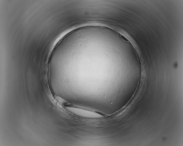 X0000116281004200912211815