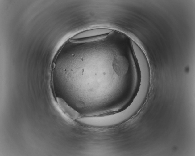 X0000116281005200912211815