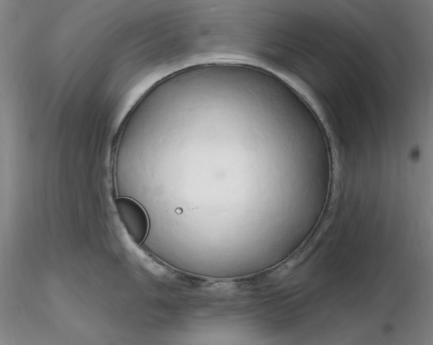 X0000116281006200912211815