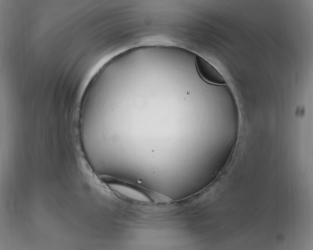 X0000116281008200912211815