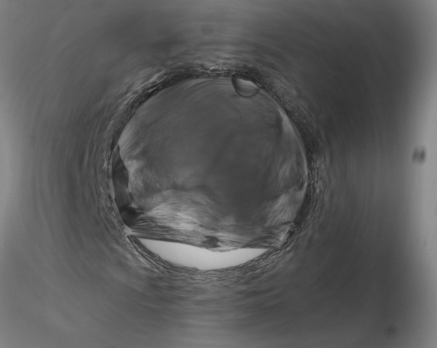 X0000116281009200912211814