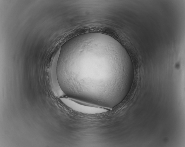 X0000116281010200912211814