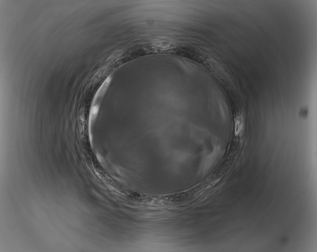 X0000116281011200912211814