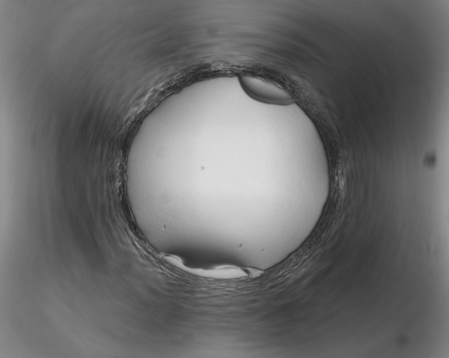 X0000116281012200912211814