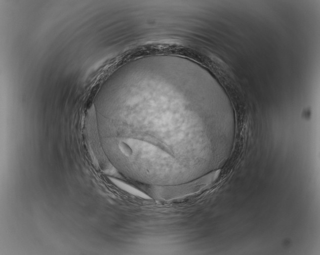 X0000116281014200912211814