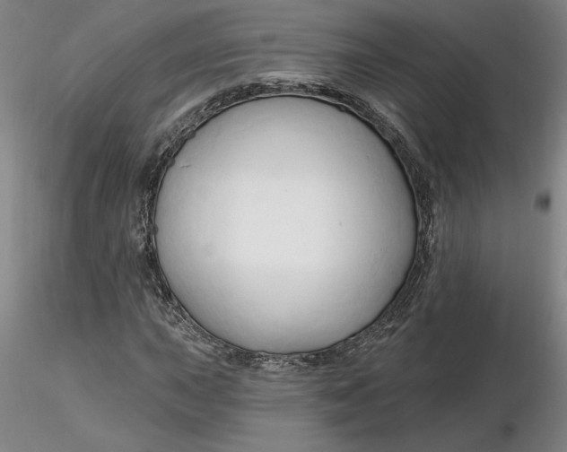 X0000116281015200912211814