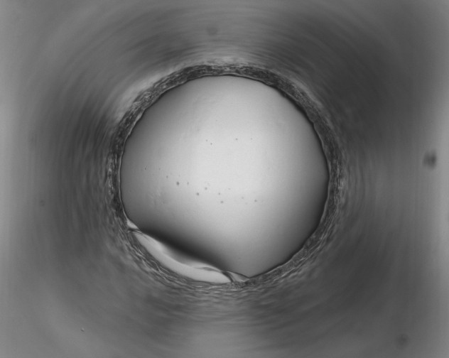 X0000116281016200912211814