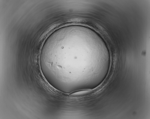 X0000116281017200912211814