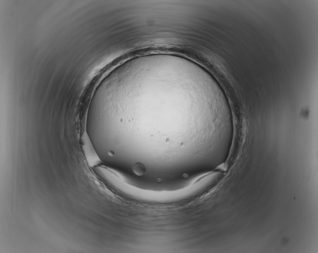 X0000116281018200912211815