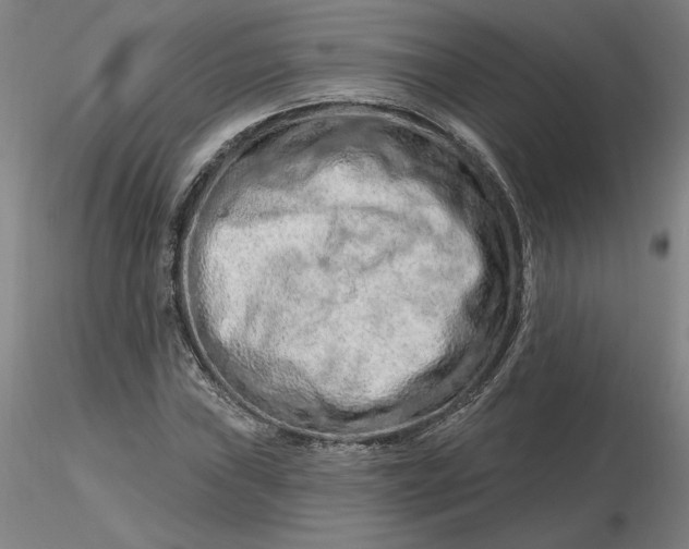 X0000116281019200912211815