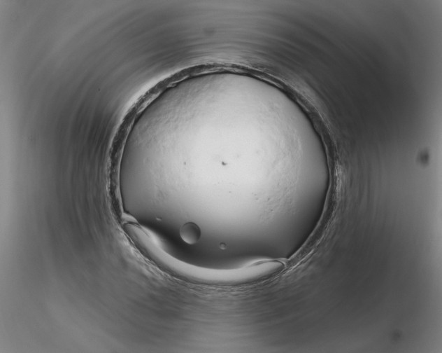 X0000116281020200912211815