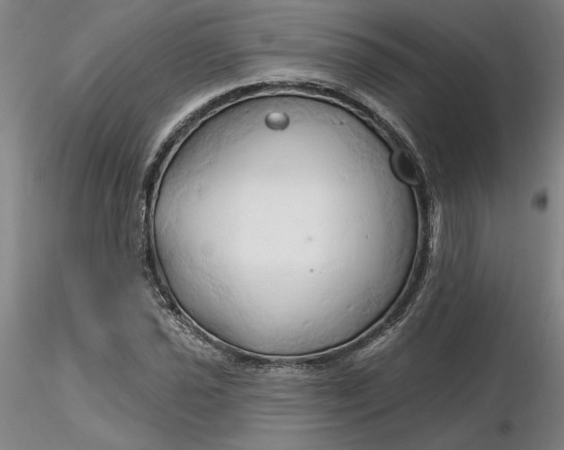 X0000116281021200912211815