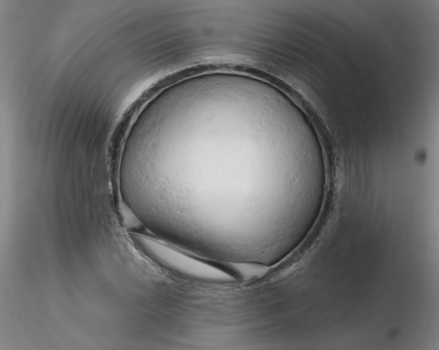 X0000116281022200912211815