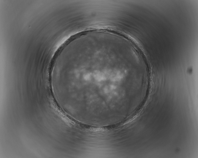 X0000116281023200912211815