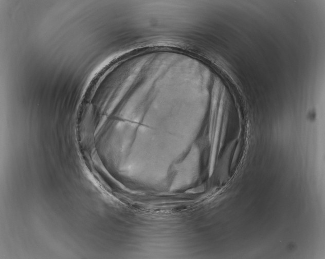 X0000116281024200912211815