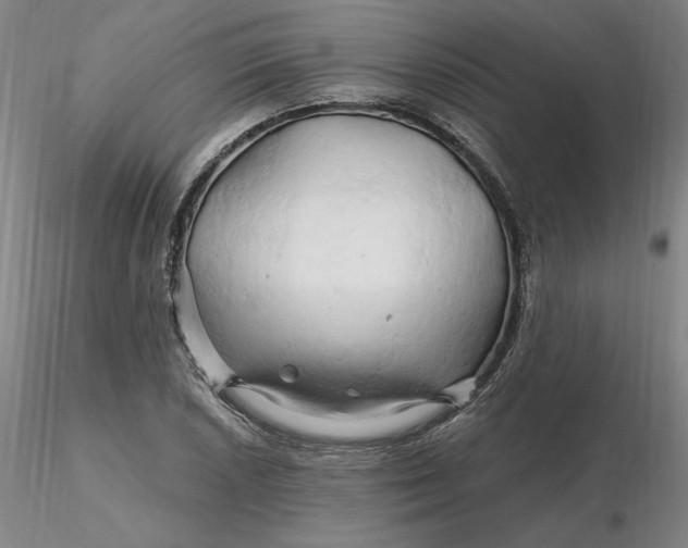 X0000116281026200912211815