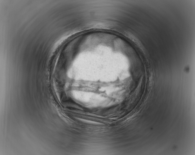 X0000116281027200912211815