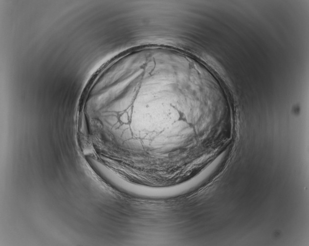 X0000116281028200912211815