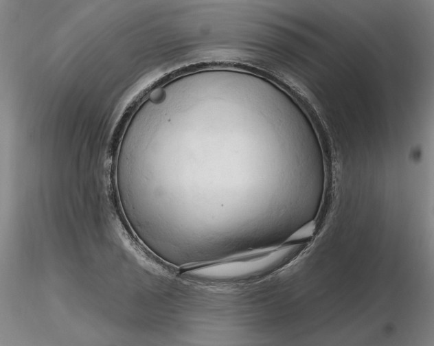 X0000116281029200912211815