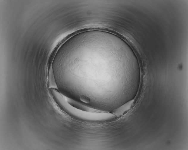 X0000116281030200912211815