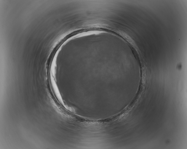 X0000116281031200912211815