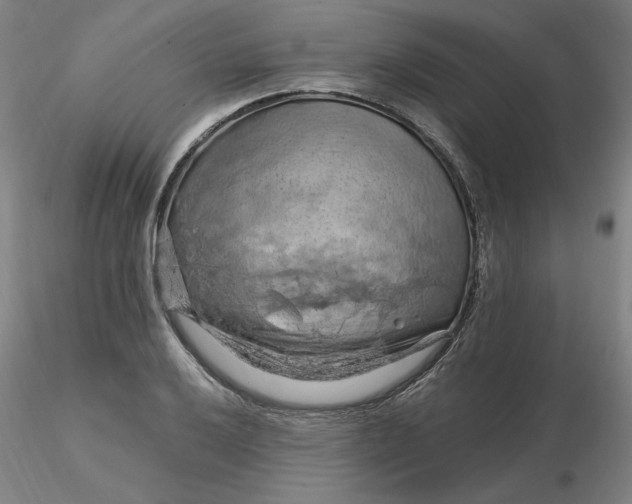 X0000116281032200912211815