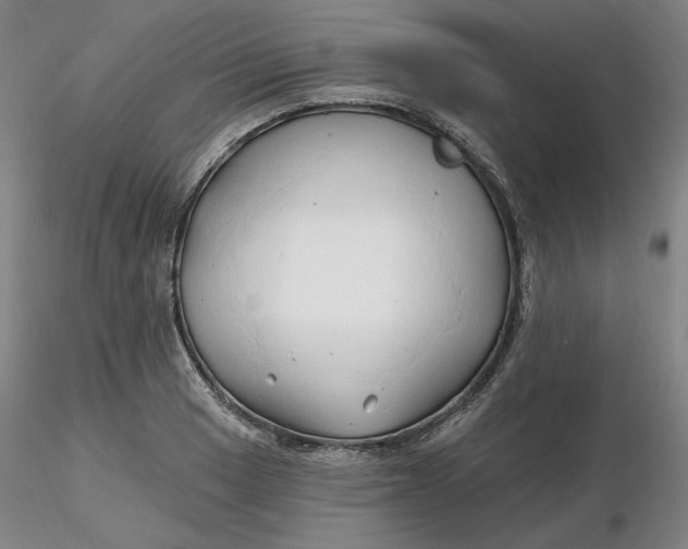 X0000116281033200912211815