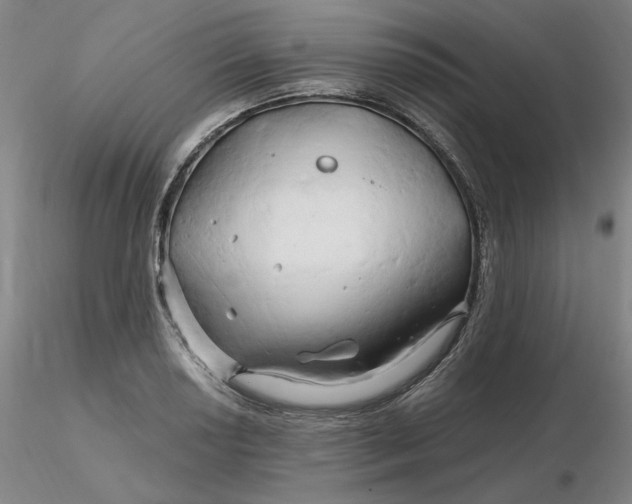 X0000116281034200912211815