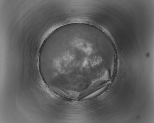 X0000116281035200912211815