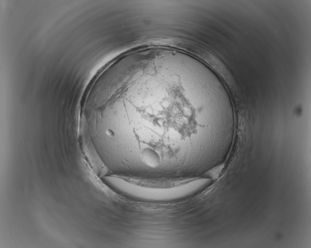 X0000116281036200912211815