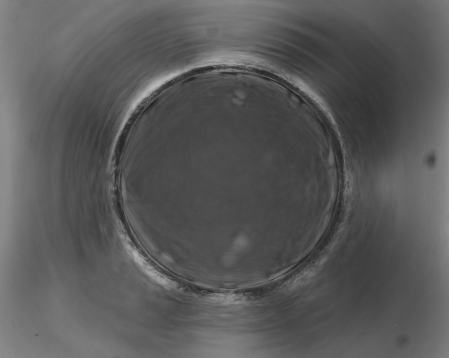 X0000116281037200912211815