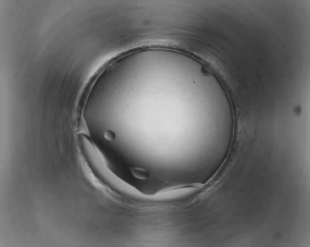 X0000116281038200912211815