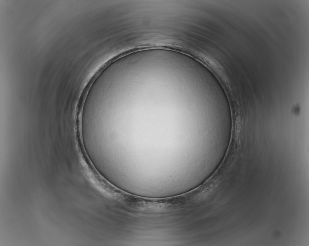 X0000116281039200912211815