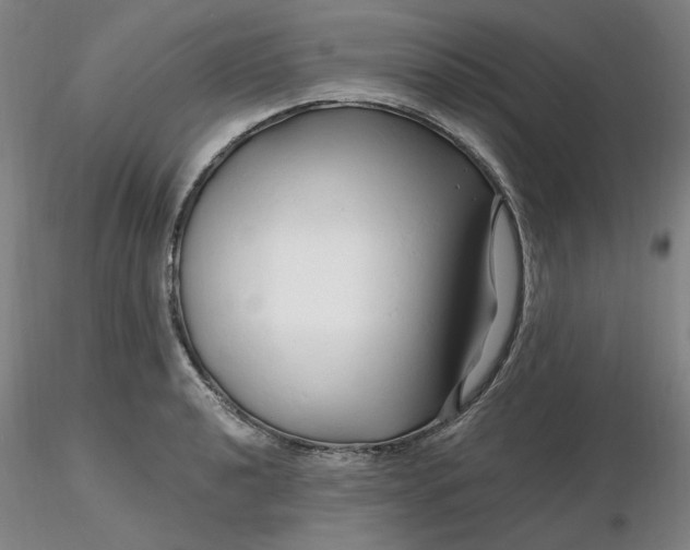 X0000116281040200912211815