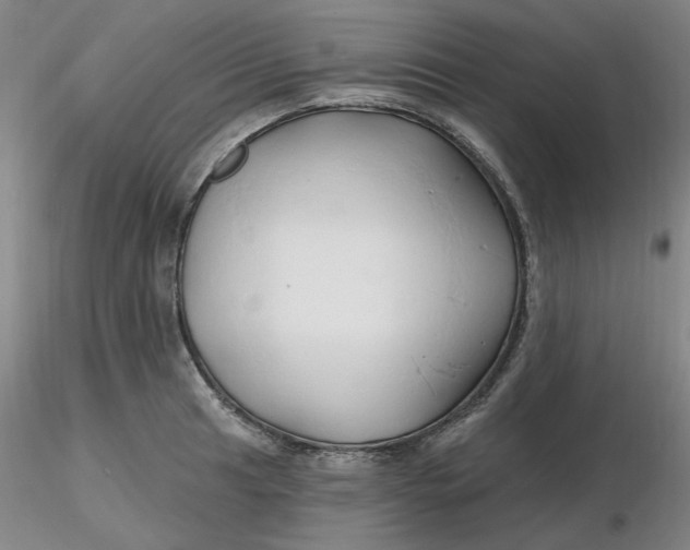 X0000116281041200912211815