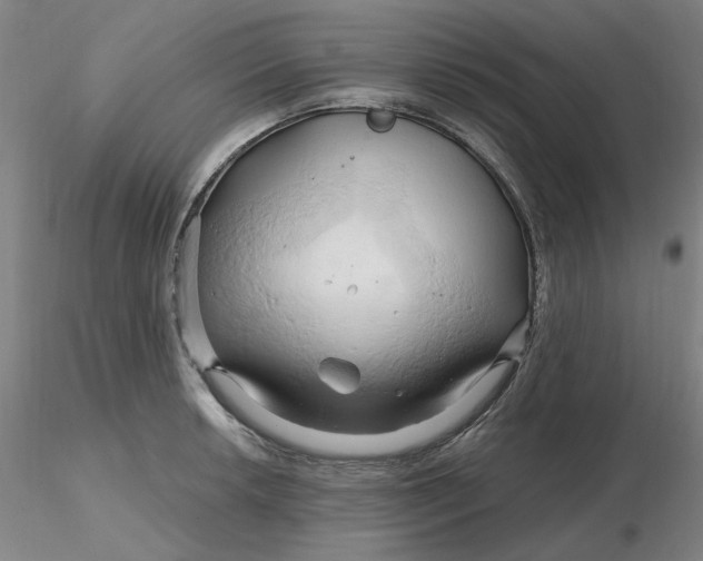 X0000116281042200912211815