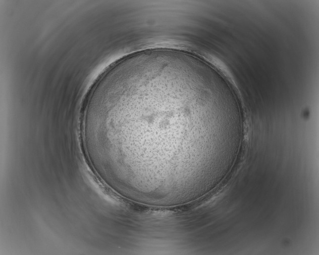 X0000116281043200912211815