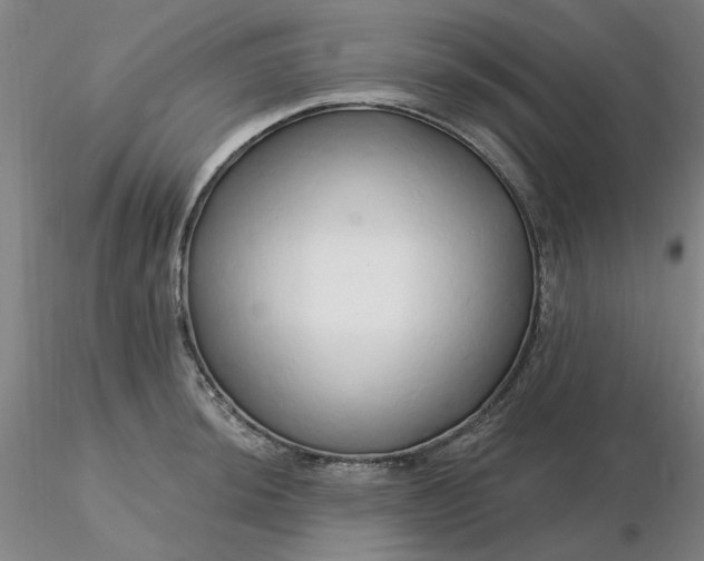 X0000116281044200912211815