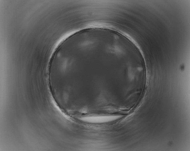 X0000116281045200912211815