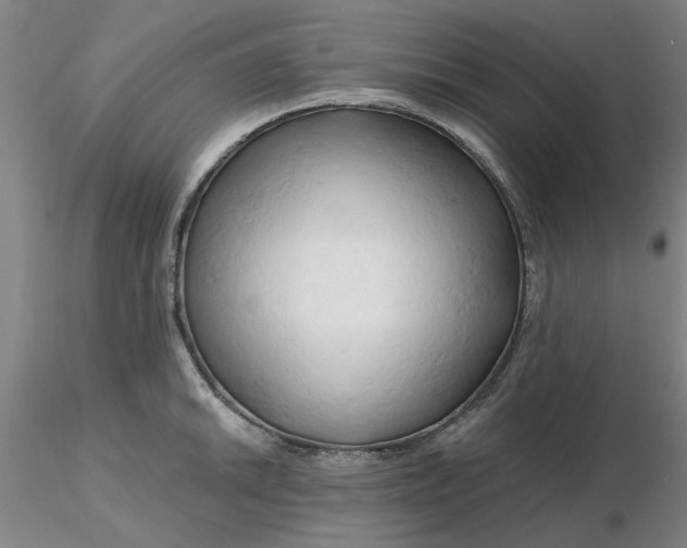 X0000116281046200912211815