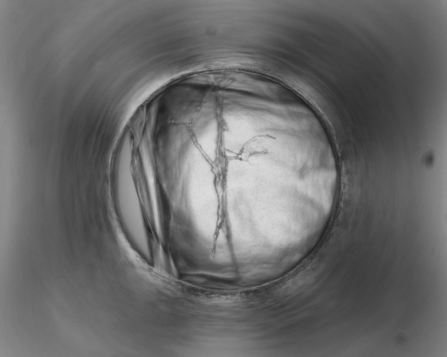 X0000116281047200912211815